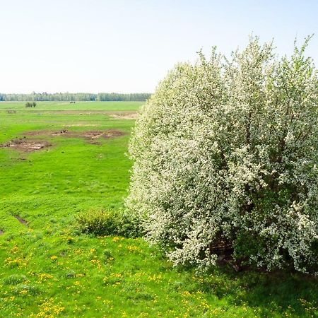 White Camomile Condo Šventoji Exteriér fotografie